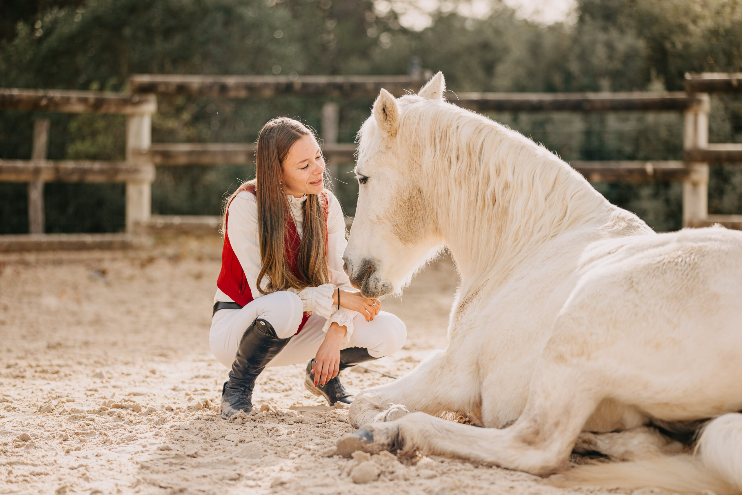 séance photo équestre équine équin marseille tessanjel (7)
