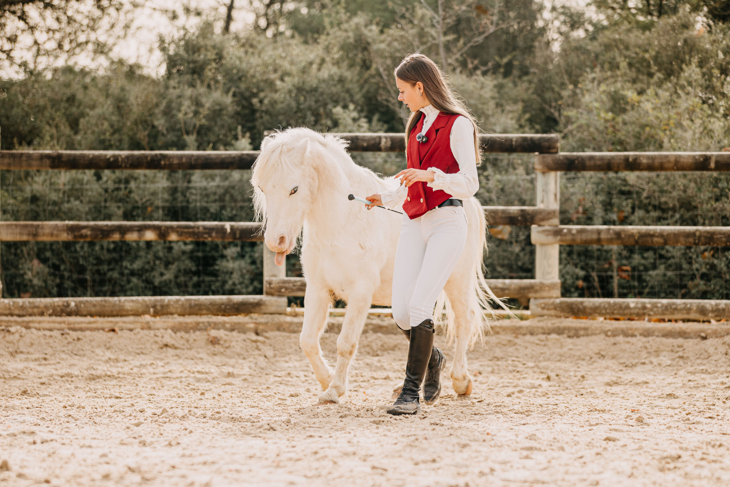 séance photo équestre équine équin marseille tessanjel (8)